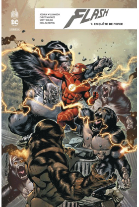 FLASH REBIRTH TOME 7