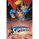 Superman : Up in the sky