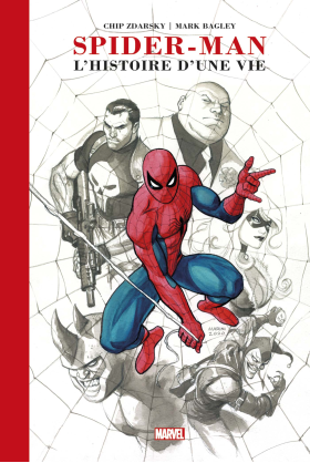 Spider-Man : Histoire d'une vie (artist edition)