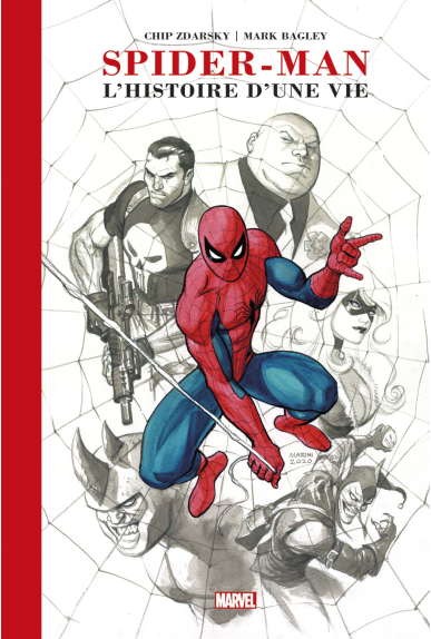 Spider-Man : Histoire d'une vie (artist edition)