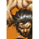 Wolverine, les origines : Printemps du comics