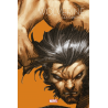 Wolverine, les origines : Printemps du comics