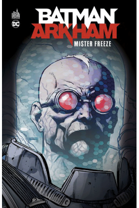 Batman Arkham : Mr Freeze