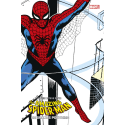 Amazing Spider-Man : A grands pouvoirs édition Collector