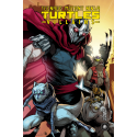 Les Tortues Ninja : Villains