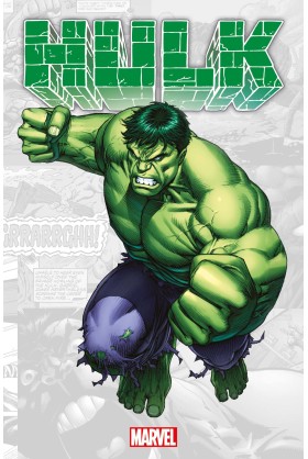 Marvel-Verse : Hulk