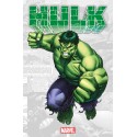 Marvel-Verse : Hulk