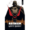Batman BEYOND The White Knight