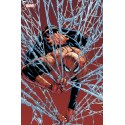 Marvel Comics 16 collector
