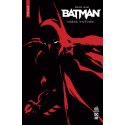 Batman : Amère Victoire - Nomad