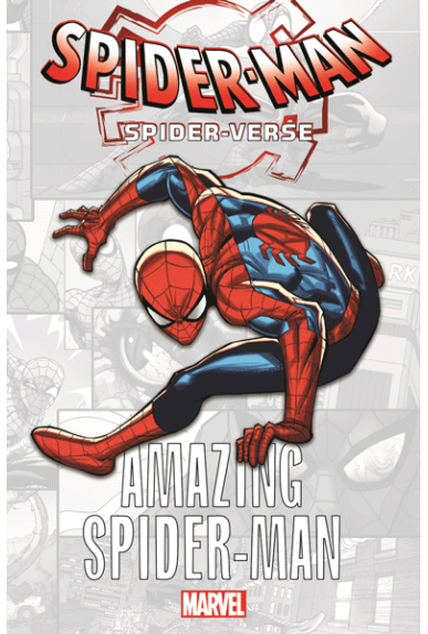 Marvel-Verse : Amazing Spider-Man Marvel-Verse : Amazing Spider-Man