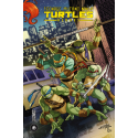 TMNT Les Tortues Ninja : Heroes