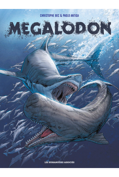 Megalodon Megalodon