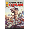 Omnibus Savage Sword of Conan Volume 2