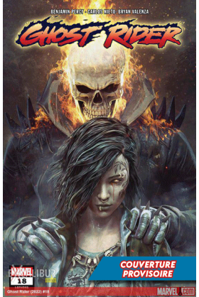 Ghost Rider Tome 4