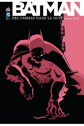 BATMAN DES OMBRES DANS LA NUIT