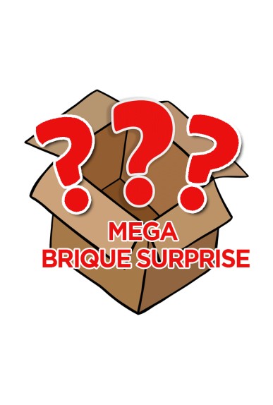Giga Méga Brique Surprise