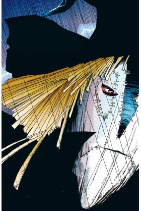 BATMAN DES OMBRES DANS LA NUIT