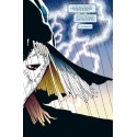 BATMAN DES OMBRES DANS LA NUIT