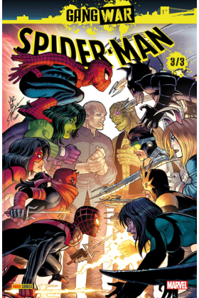 Spider-Man : Gang War 3