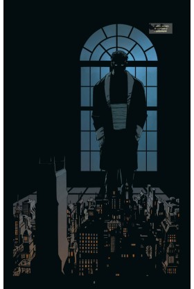 BATMAN TOME 2 - LA NUIT DES HIBOUX