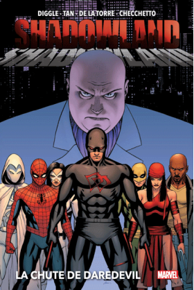 Shadowland : La chute de...