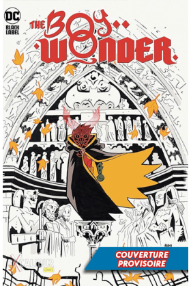 Robin – The Boy Wonder