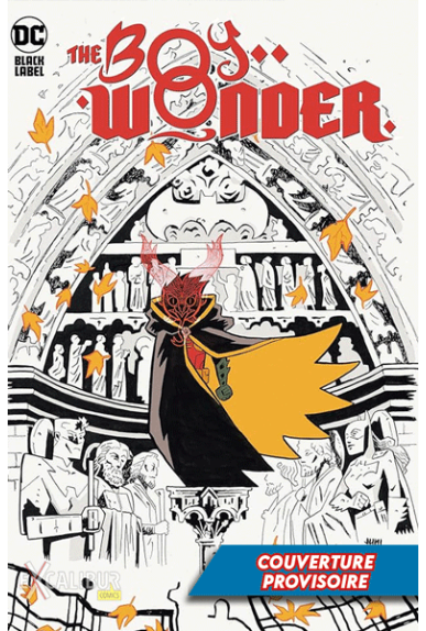 Robin – The Boy Wonder Robin – The Boy Wonder