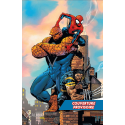 Couverture de l'Omnibus Ultimate Fantastic Four Variante Panini