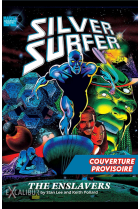 Silver Surfer Intégrale 1989-1990  Panini Comics