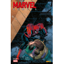 Marvel Comics 17 (II)