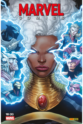 Marvel Comics 18 (II)