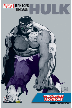 Hulk : Gris - Edition...