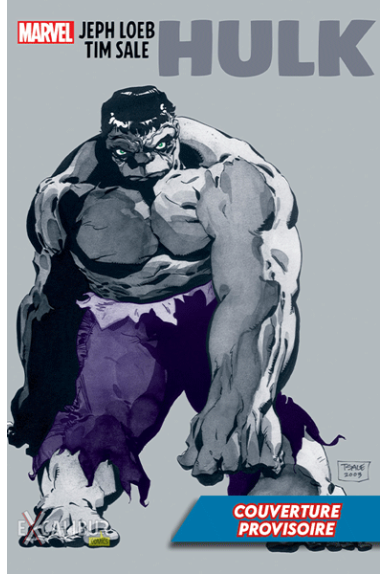 Hulk : Gris - Edition... Hulk : Gris - Edition...