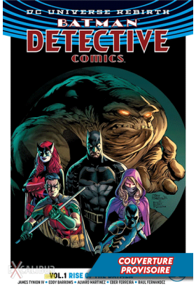 Batman - L'envol des Batmen