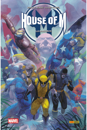 House of M - Marvel Poche