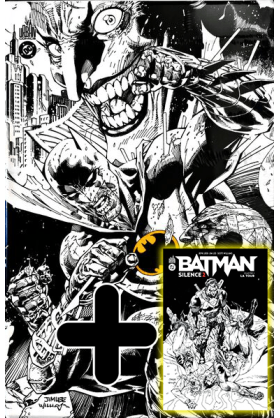 Batman Silence 2 Coffret :...