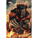 Ultimate Universe 08 - Variante exclusive CSA