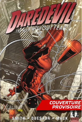 Daredevil par Joe Quesada -...