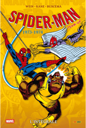 Spider-Man Team-Up...