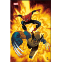 Spider-Man & Wolverine Tome...