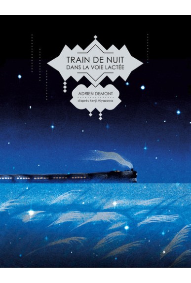 Train de nuit dans la voie...