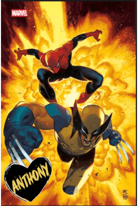Spider-Man & Wolverine Tome...