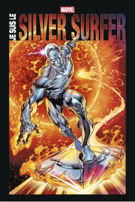 Je suis le silver surfer