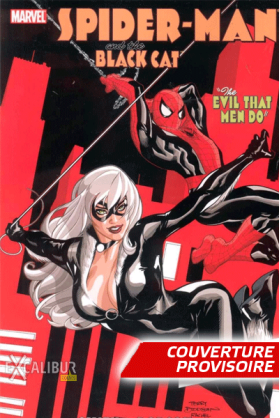 Spider-Man / Black Cat : L'enfer de la violence