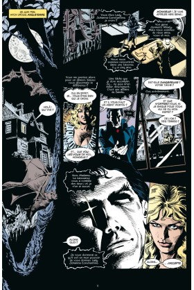 SANDMAN TOME 3
