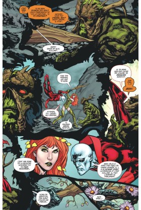 SWAMP THING TOME 3