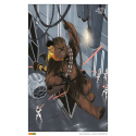 STAR WARS - Chewbacca