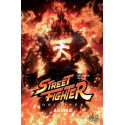 Street Fighter Tome 1