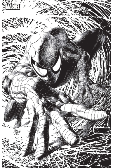 Spider-Man 9 (2018)